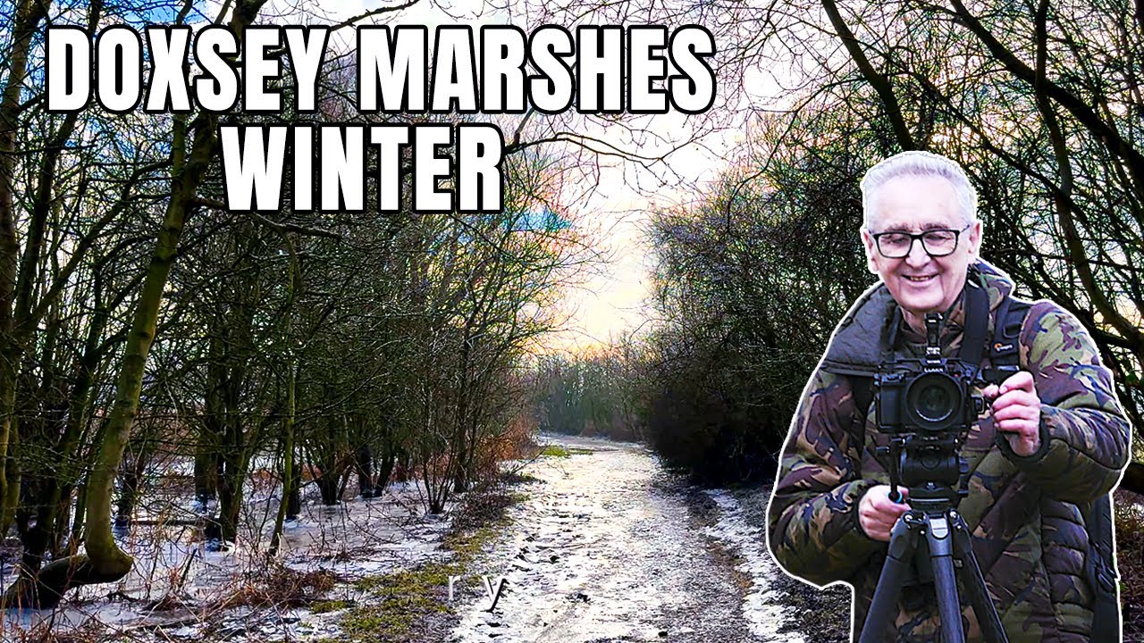 Doxsey Marshes Winter 2025 | Stunning British Wildlife in 4K UHD