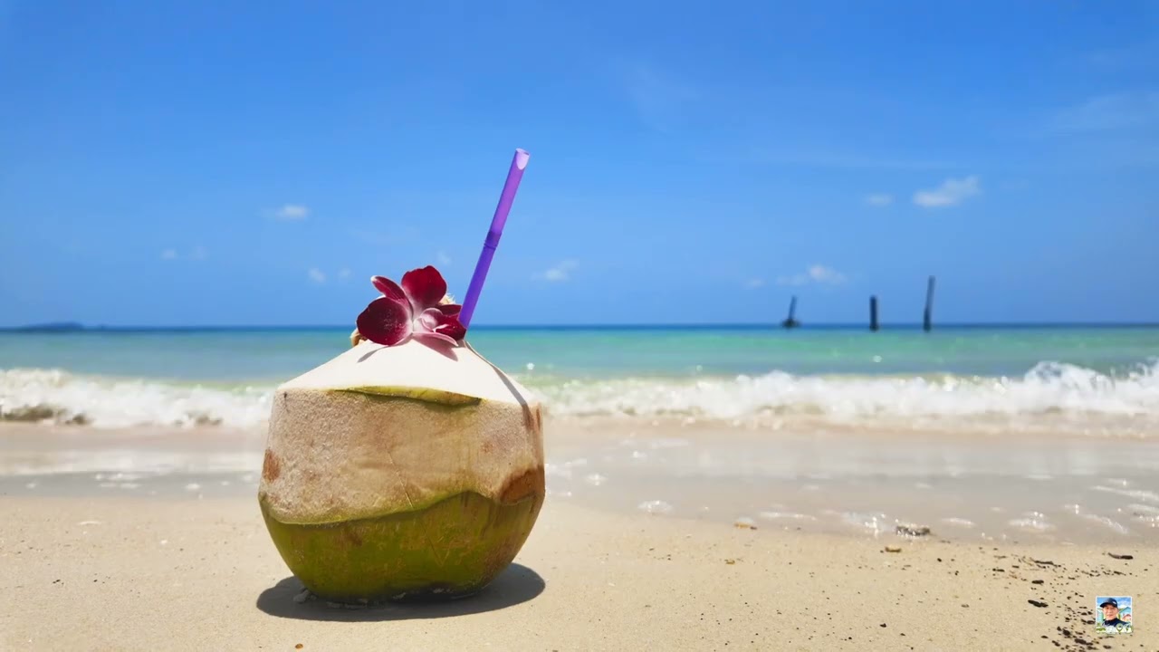 Peaceful Beach Morning, Deep Relaxation, Ocean Waves for Deep Sleep, Stress Relief by the Sea