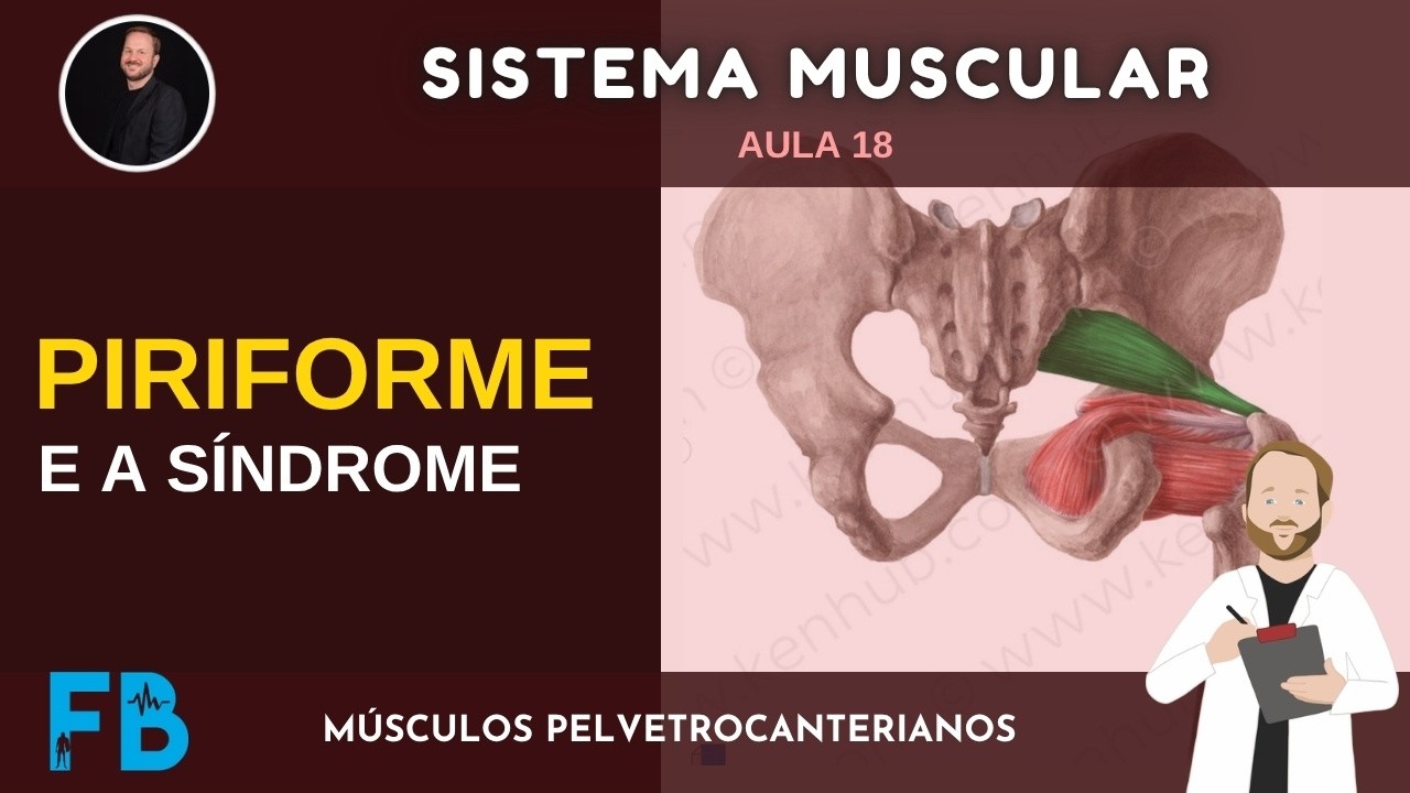 Sistema Muscular - Aula 18 - Músculo PIRIFORME | Prof. Felipe Barros