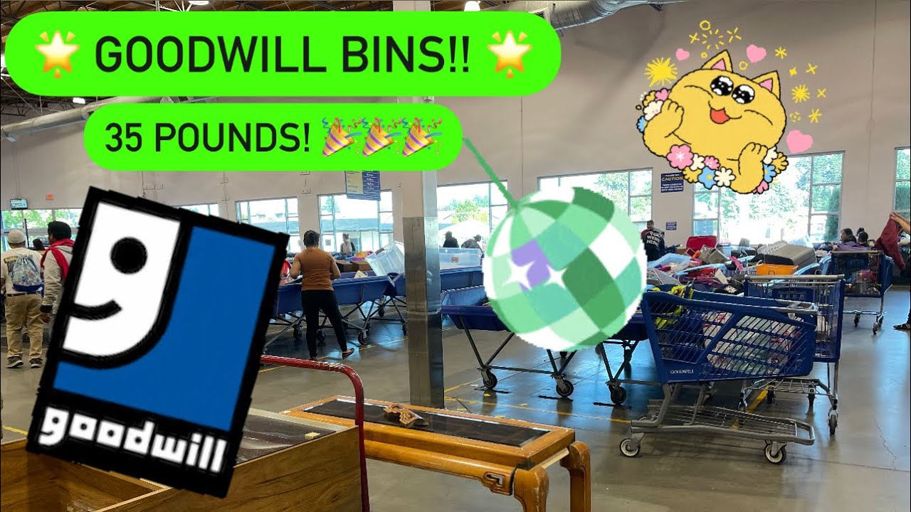 Goodwill Bins Digging! 2nd Time in One Day! Thrift With Me! I found 35 Pounds for Resale +++HAUL!