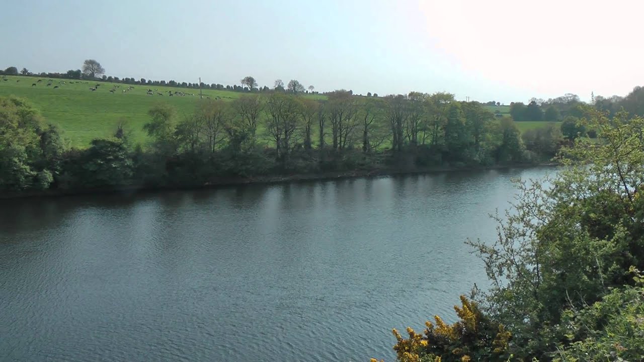 Griffins Garden Centre