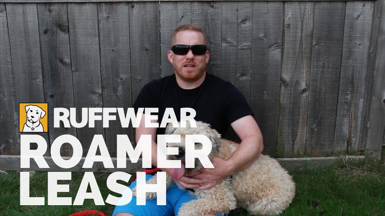 Ruffwear Roamer Leash Tested + Reviewed