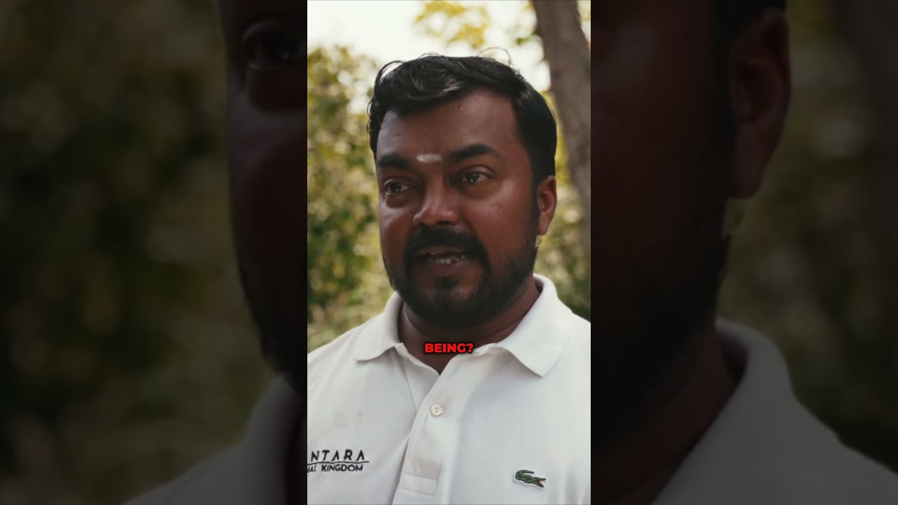 This Man Eating Tiger Has Killed 10 People