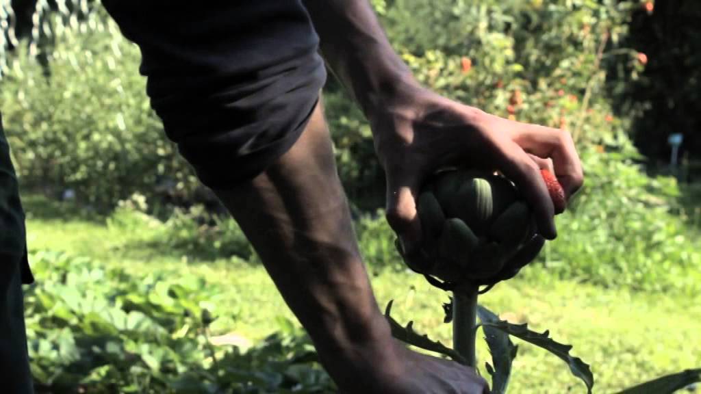 utopival 2014 - Gel&auml;ndetrailer