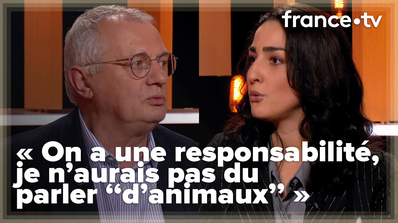 Comment expliquer l'augmentation de la "violence désinhibée" ? - C Ce soir du 8 avril 2024