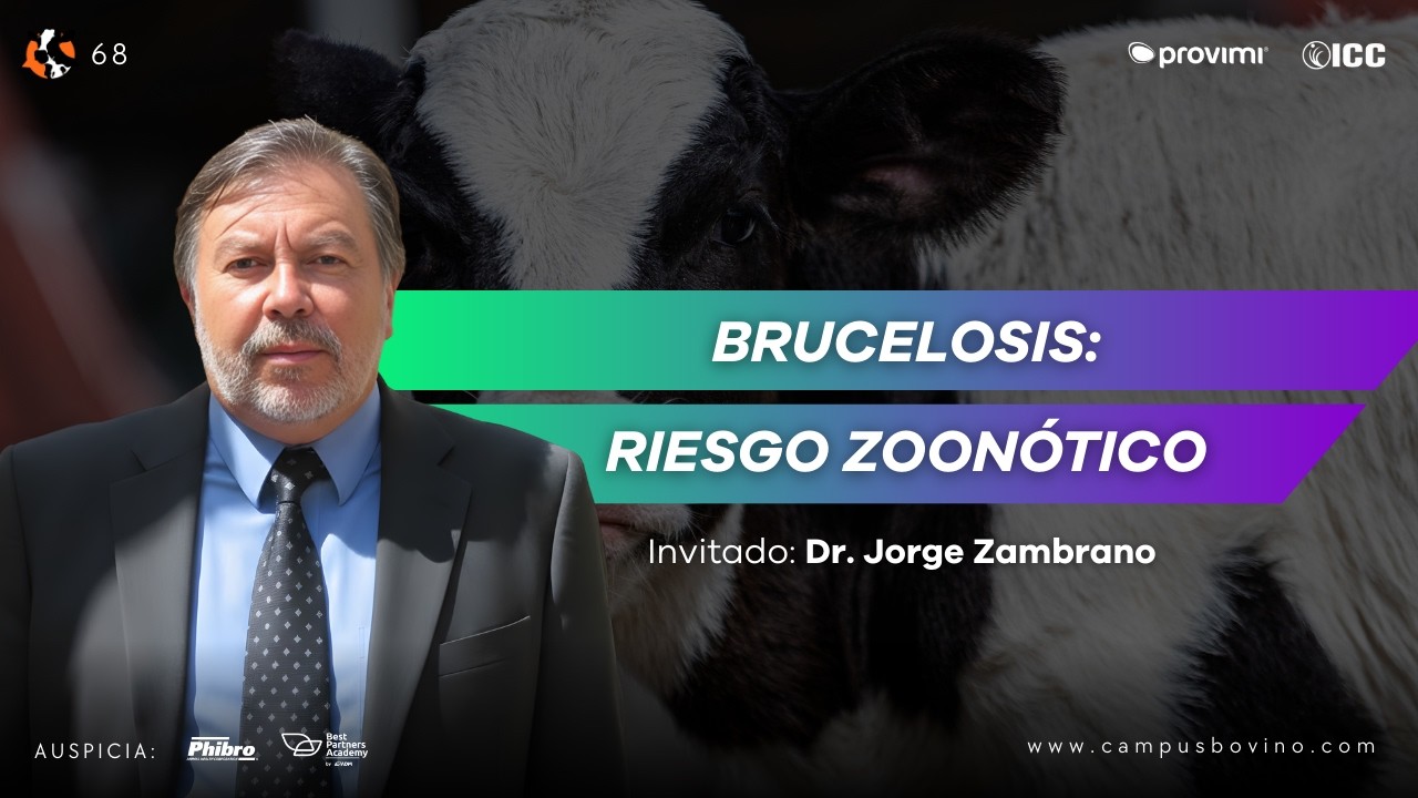 #68 - Brucelosis bovina en Colombia: Un reto productivo y sanitario - Dr. Jorge Zambrano