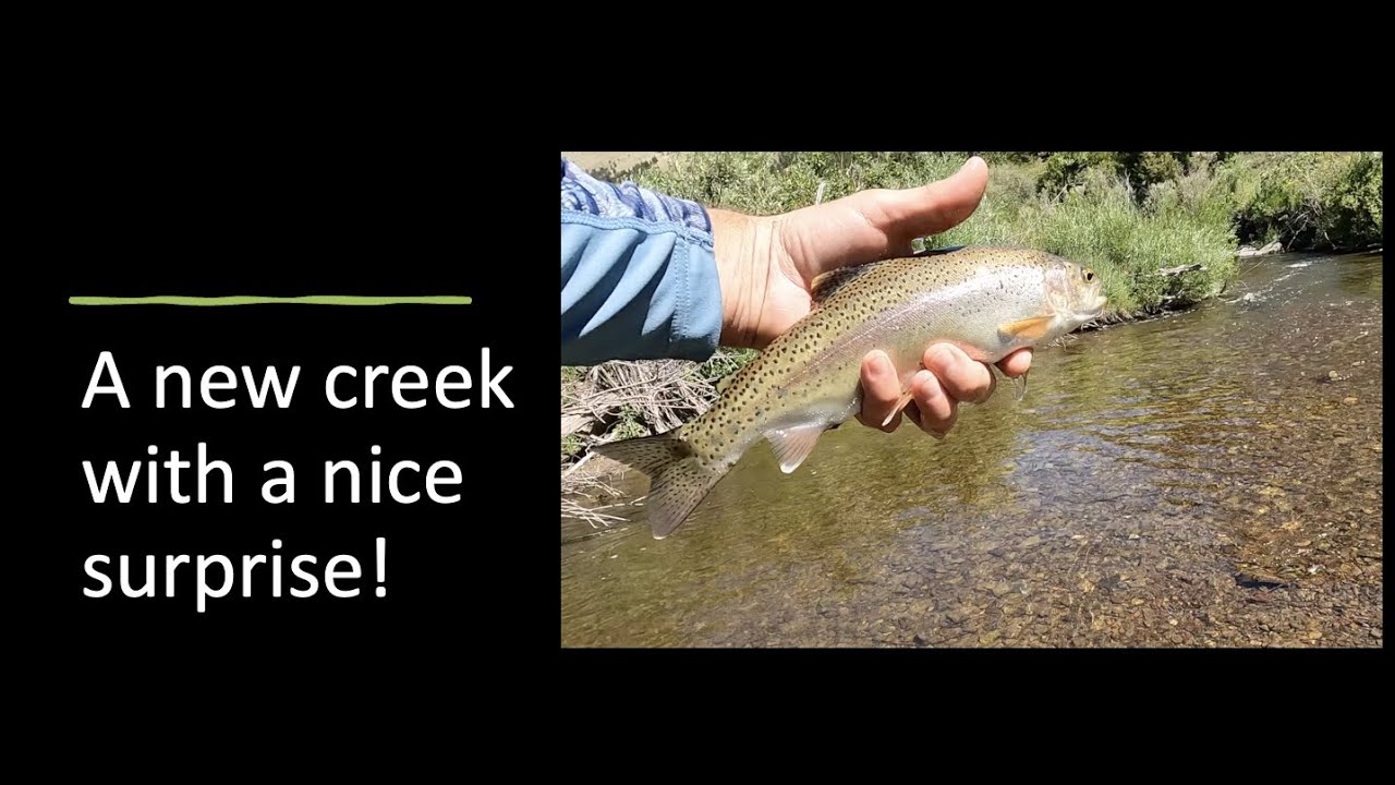 A new creek for my DRAGONtail Mizuchi and Mutant tenkara rods!
