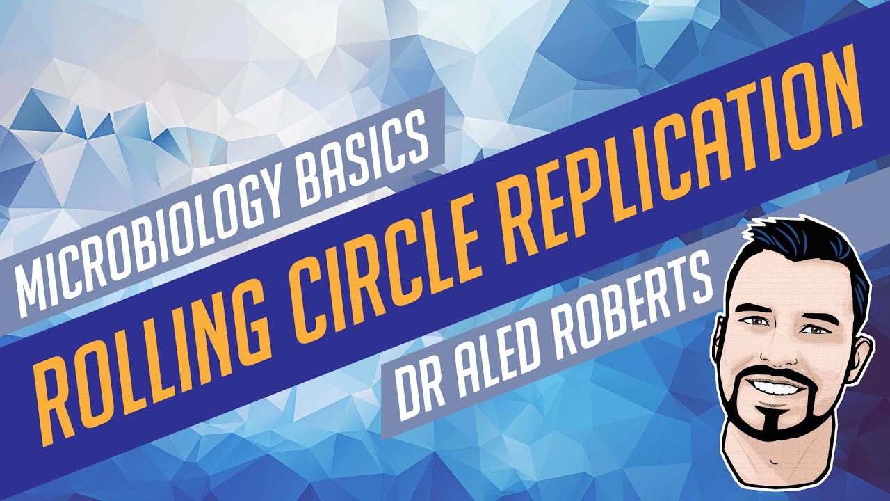 Rolling Circle Replication [Microbiology Basics]