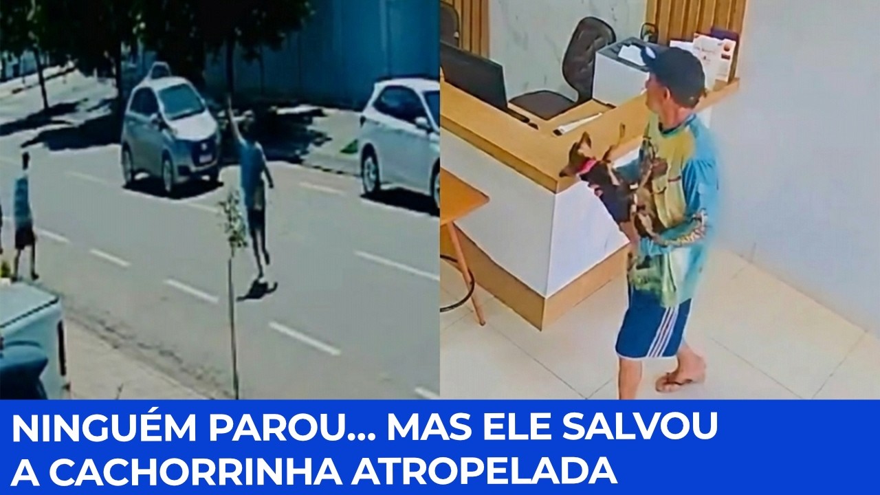 Cachorrinha Atropelada Morador de Rua Corre Contra o Tempo para Ajudar