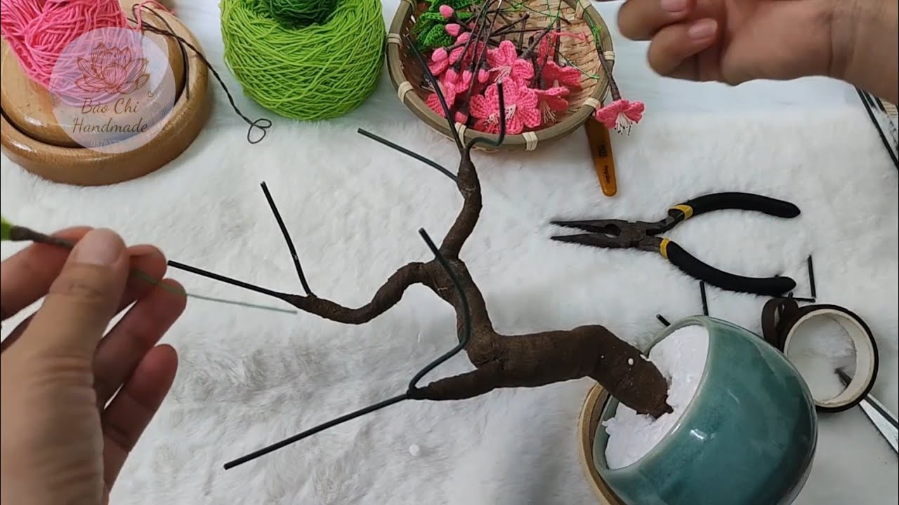 Hướng Dẫn Làm Thân Cây Hoa Đào Bonsai tại nhà P2/2- Hoa Mai - Gắn Hoa