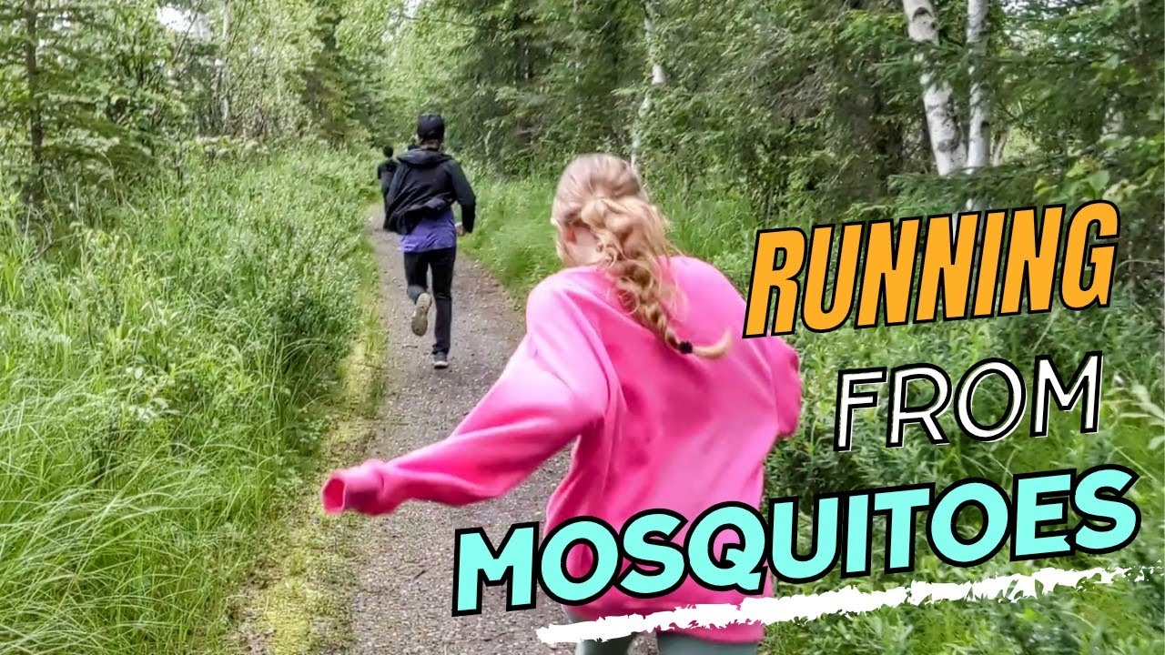 Day 1 in Alaska -- Running from Mosquitoes! #alaska #anchorage #mosquitoes