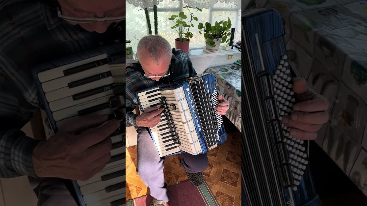 Weltmeister Amigo accordion, 96 Bass, 4 voices, 11+5 registers, 37 keys, Germany accordion, ON SALE
