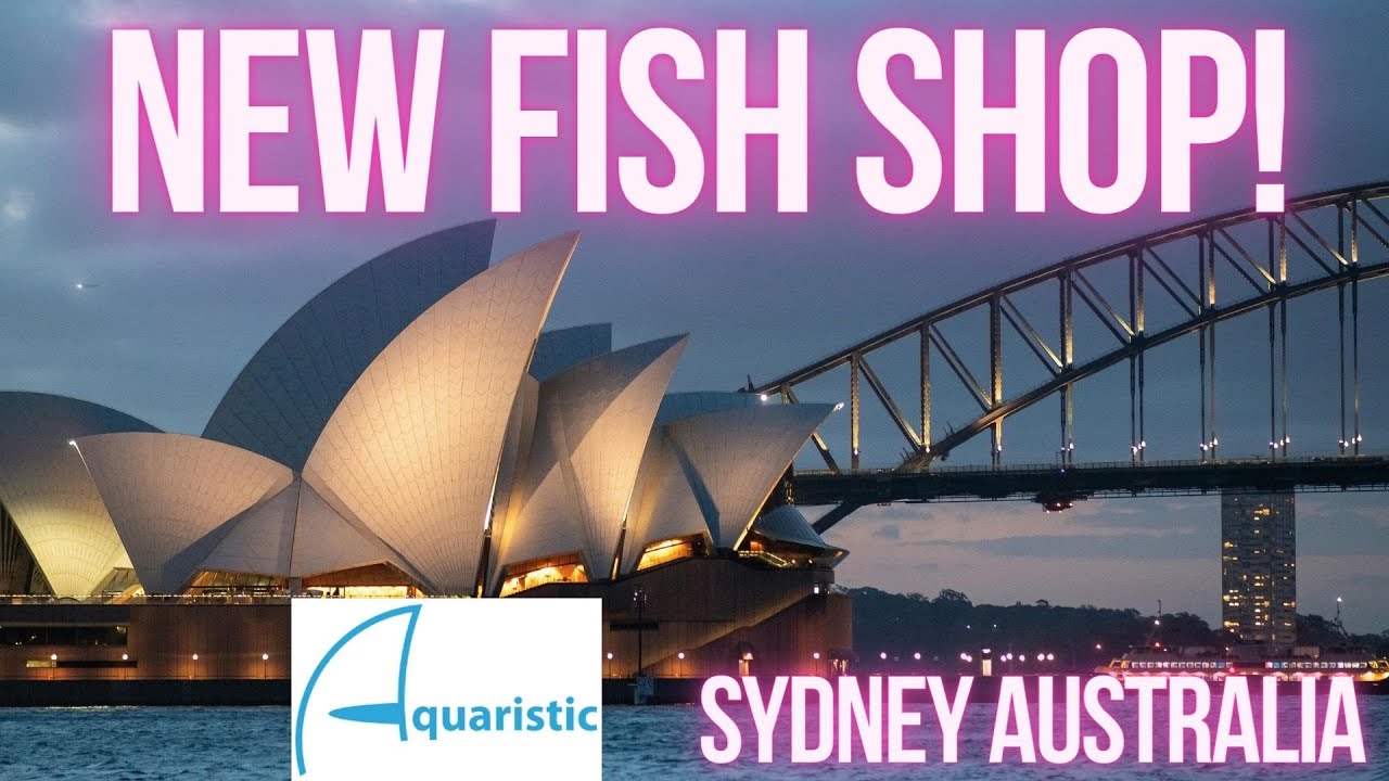 Crazy New Fish Store in Sydney Australia