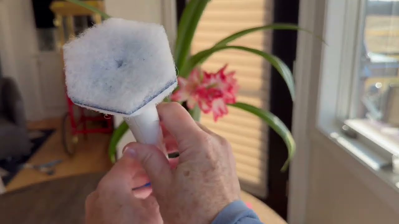 Barbara's Picks: Quick Bathroom Reset With Me - Clorox Toilet Wand System with pop off design.