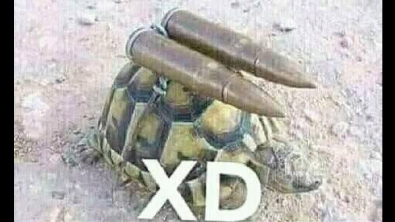 😆 SI TE RÍES PIERDES 😆 MEMES RANDOM 🤣 (#18)