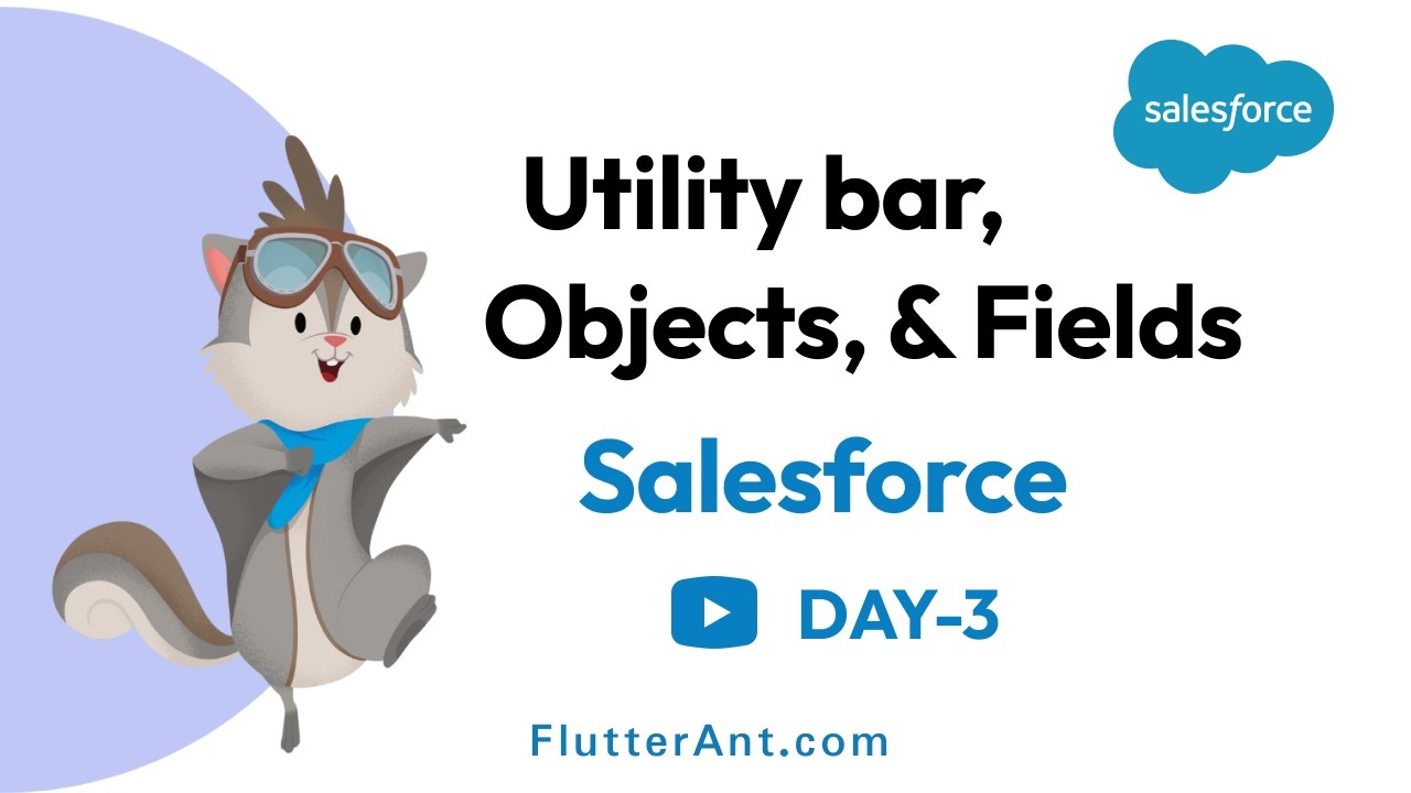 Day 3 - Salesforce Utility Bar, Objects & Fields
