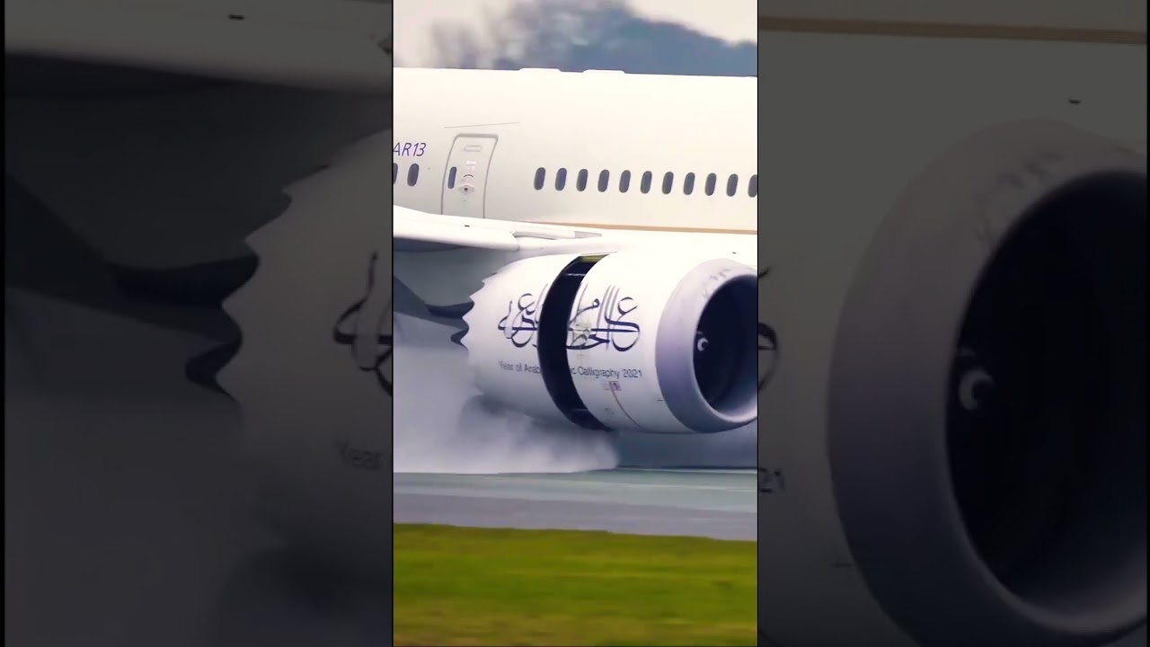 The Power of reverse🔥😤💨 #power #motor #787 #shorts