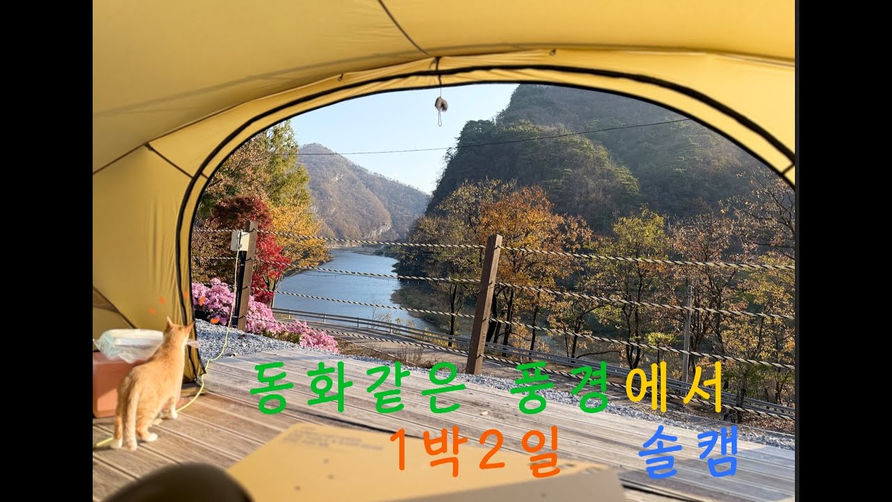 동화속에온듯한 강원도 캠핑장에서 1박2일 치코랑 솔로캠핑ㅣ화로에 소고기와 일품진로오크25 한 잔ㅣ강원도평창ㅣ솔캠ㅣ쉘터G