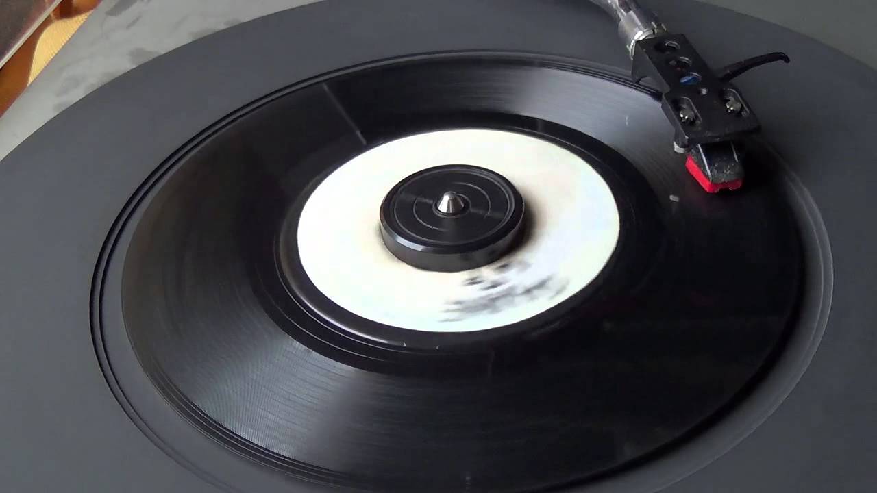 The Termites - Shake It Up