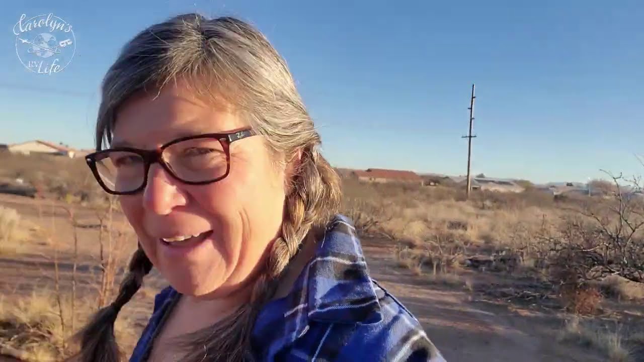 Real Time Valley Fever Update, Sadie Goes to the Vet and my City Stealth Camping Experiences