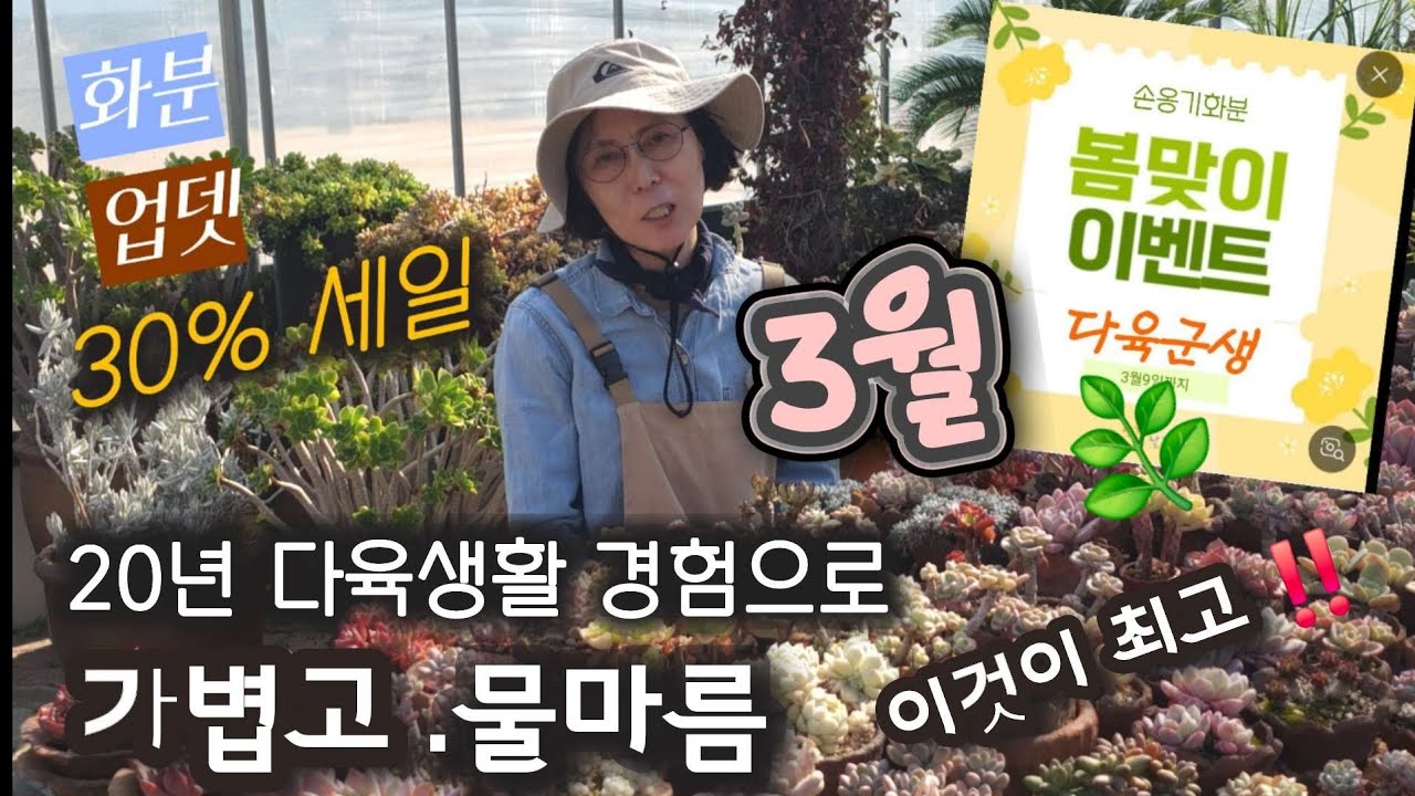 《다육화분》이쁘게 키울 수 있는 수제분🔹️| 묵둥이 다육군생 🔻주물럭 손옹기화분