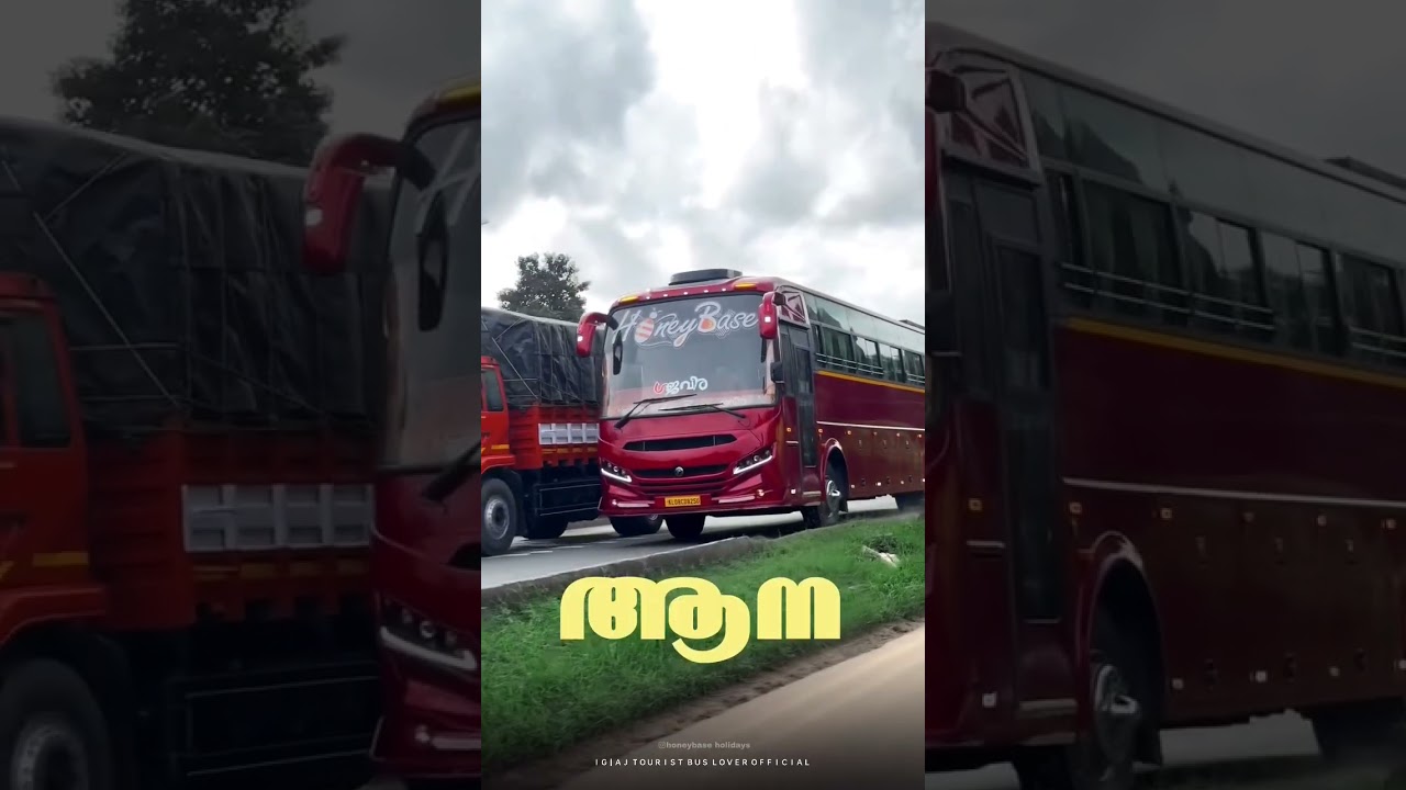 ആന&hearts;️📈🔥 #trending #travel #keralatouristbus