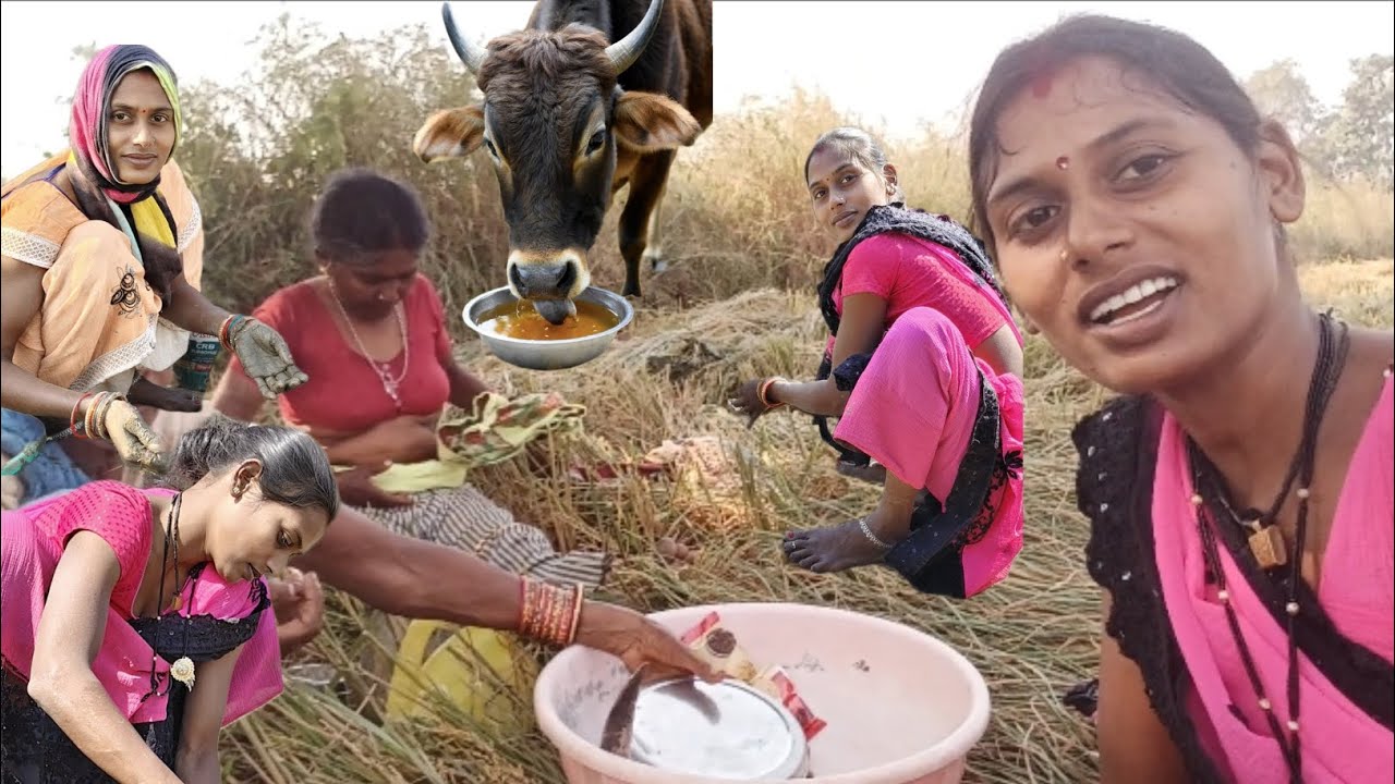 खेत में आज मेरे साथ ऐसा क्यों हुआ 😭सरस्वती साहू ब्लॉक