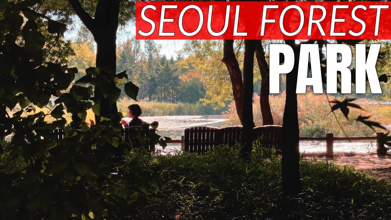 A Walk in Beautiful Seoul Forest Park | Korea Travel