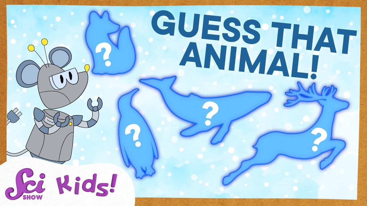 Can You Guess the Cold-Weather Animal? | Winter Guessing Game | SciShow Kids Compilation