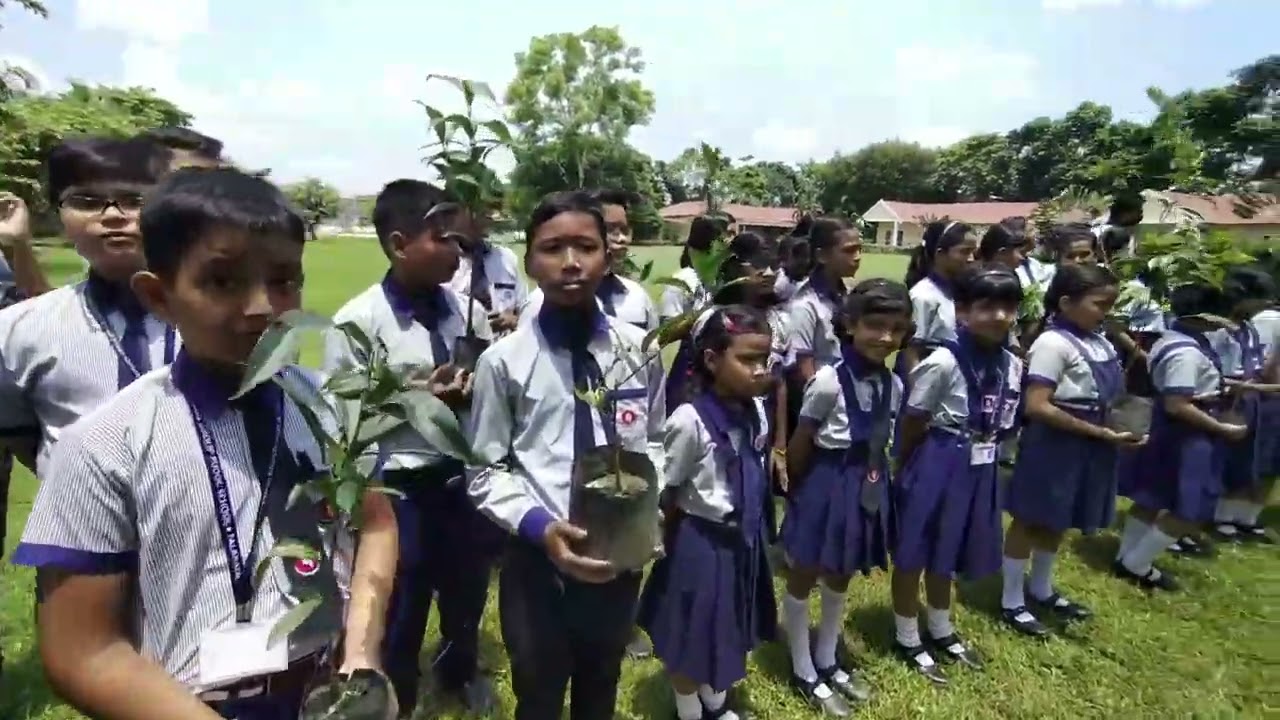 Plantation Drive in TIGPS, FALAKATA || Let's Go Green Together 💚