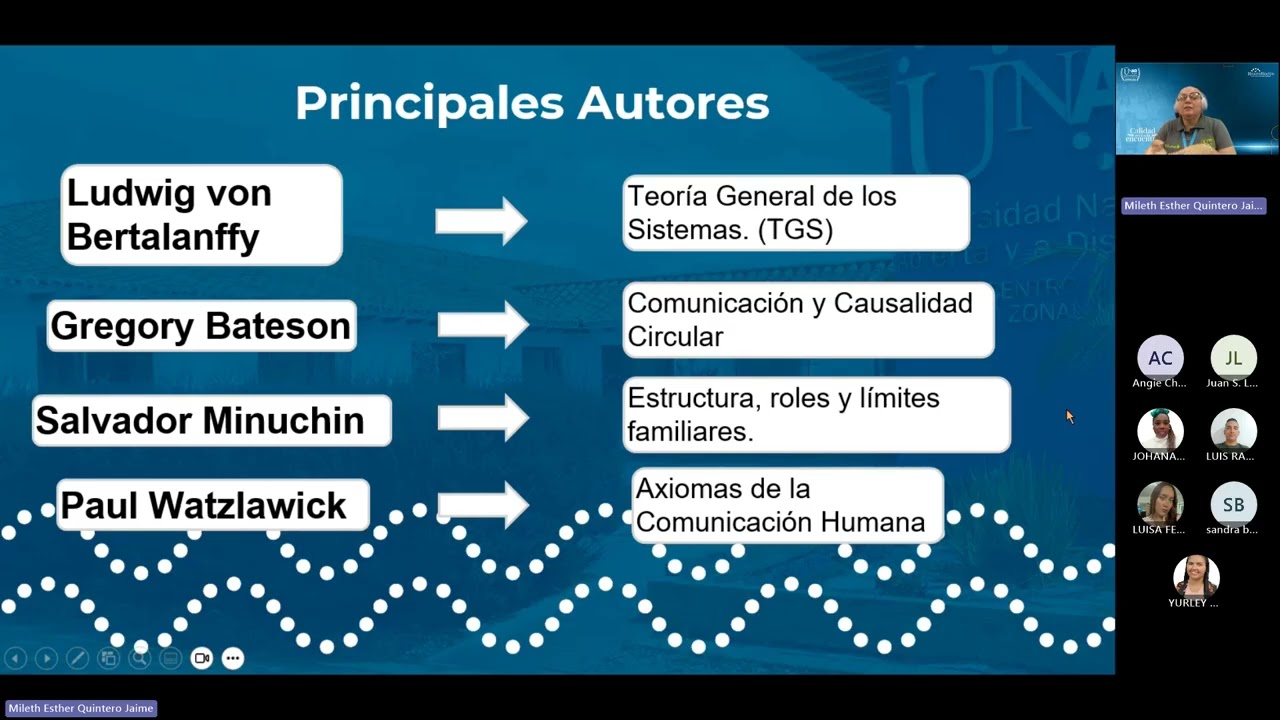 CIPAS 3 Enfoque Sistémico