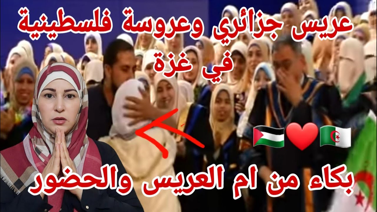 شاهد عريس جزائري وعروسة فلسطينية في غزة 🇵🇸 وام العريس تبكي على فلسطين✌ ونساء ام البواقي تتبرع بالذهب