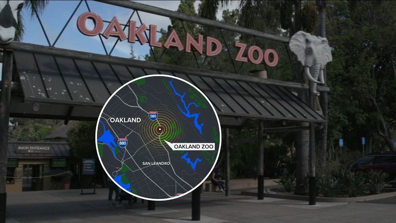 Animals at Oakland Zoo react to 3.8 earthquake that shook Bay Area
