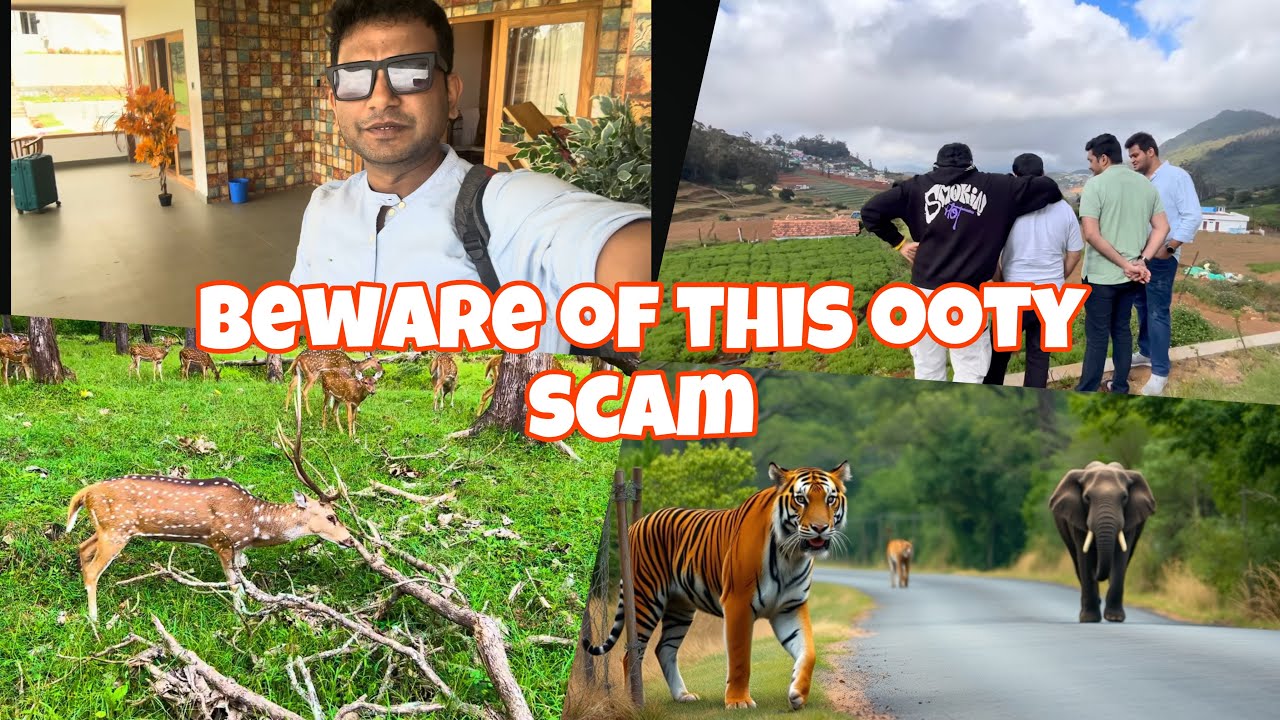 DRIVER SCAM at OOTY Check Post | Mudumalai Tiger Reserve
