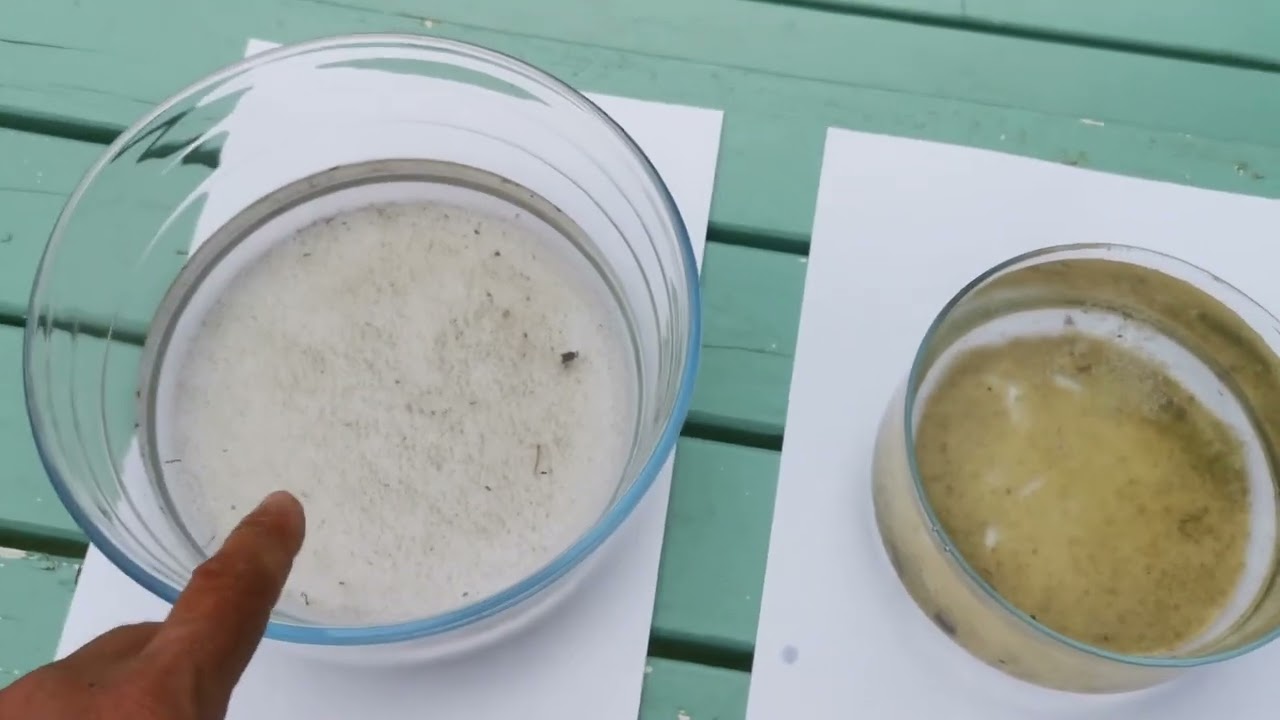 BLAM: Larvicide biologique anti-moustique. 2 expériences