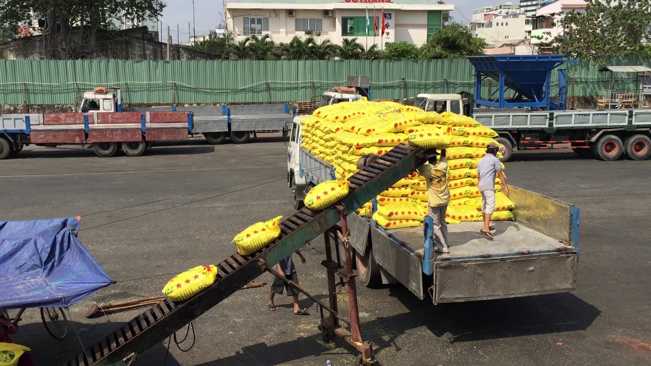 How to discharge and pack DAP Yellow from at Saigon Port, Vietnam