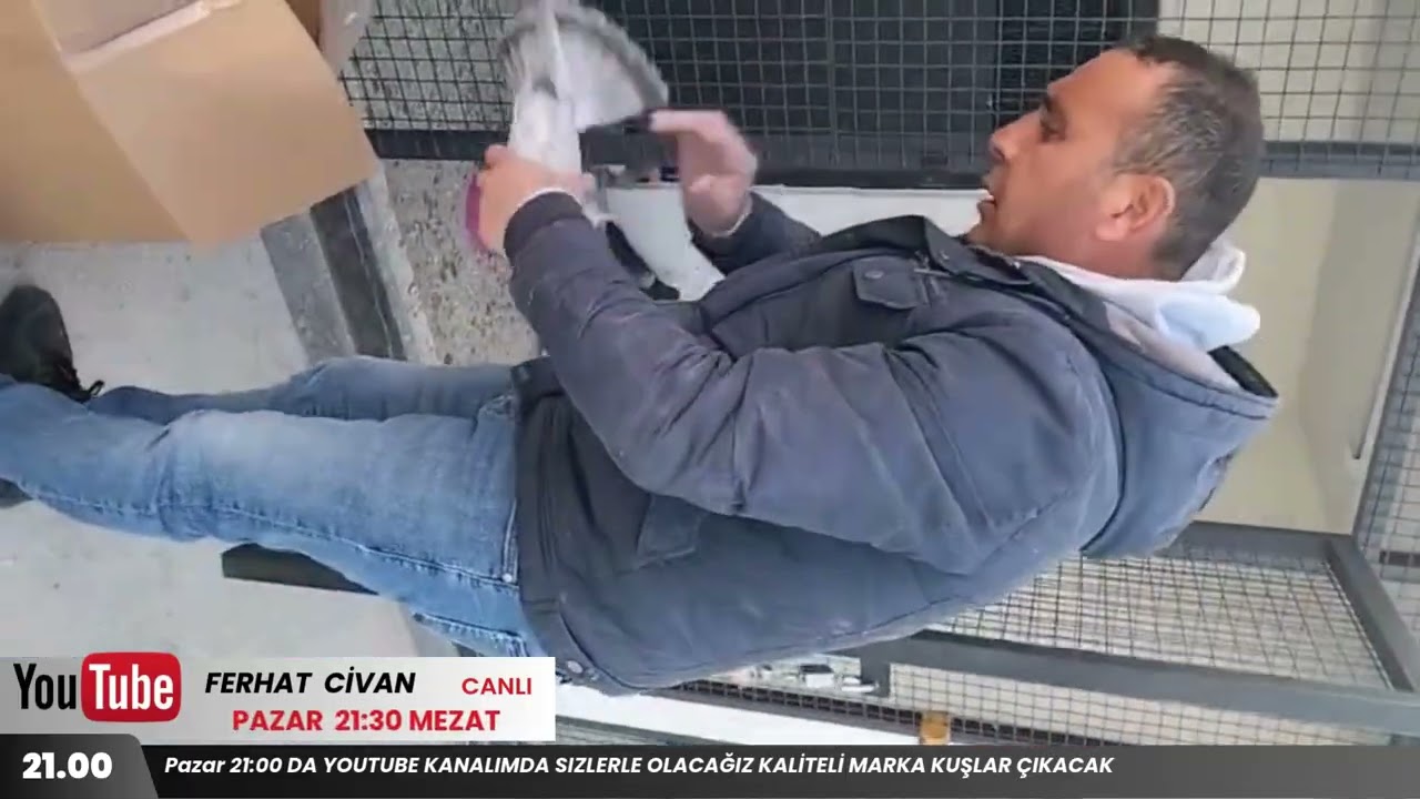 Bomba K&uuml;mes Efsane Kuşlar Her Zaman Denk Gelmez B&ouml;yleleri Ka&ccedil;ırmayın