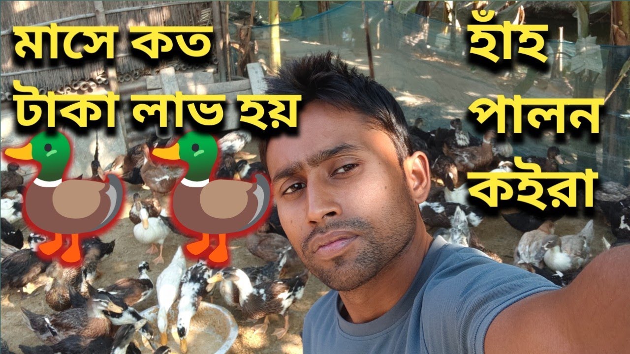 হাঁহ পালন || Bangla New Farming Vlog Video || Golam Mix Bangla Vlog Video || New Farming Vlog Video|