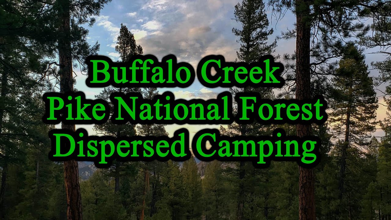 Buffalo Creek Dispersed Camping