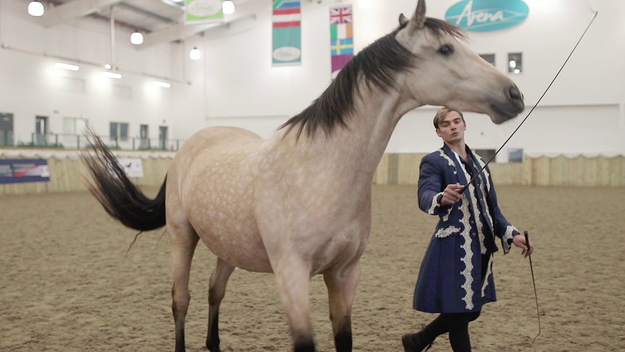 Ben Atkinson Your Horse Virtually Live 2020