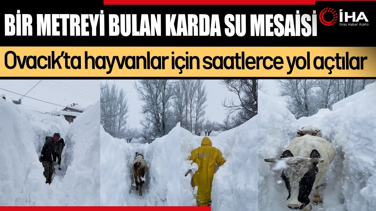 İnsan Boyunu Aşan Karda Hayvanlarını Susuz Bırakmadılar