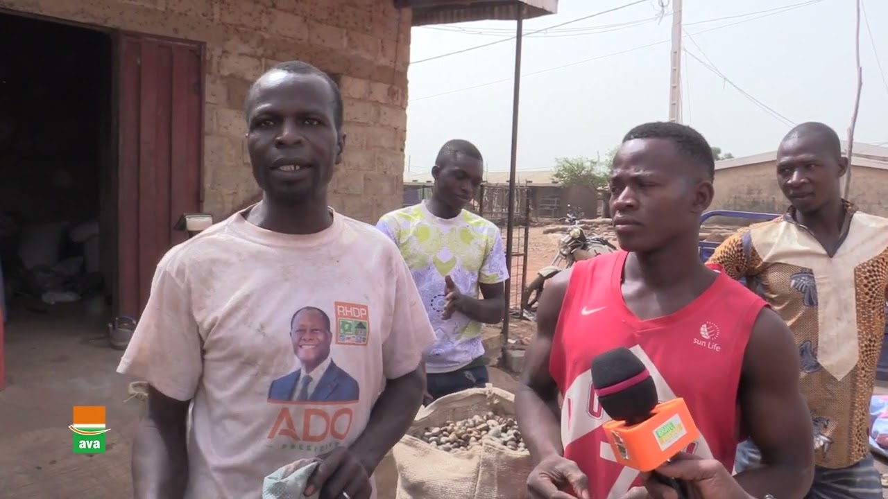 NOIX DE CAJOU  DE QUALITE A BORON