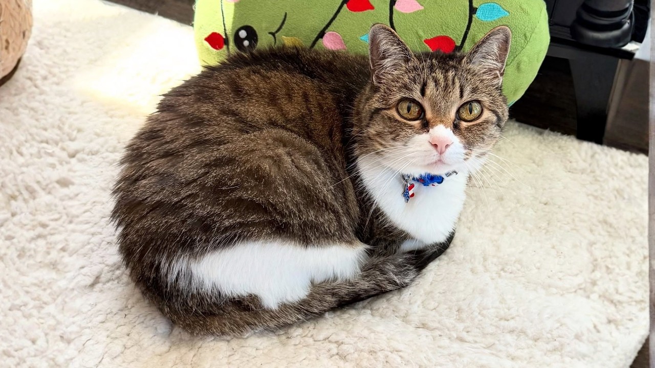 Found on the Coldest Night — and Given the Warmest Home