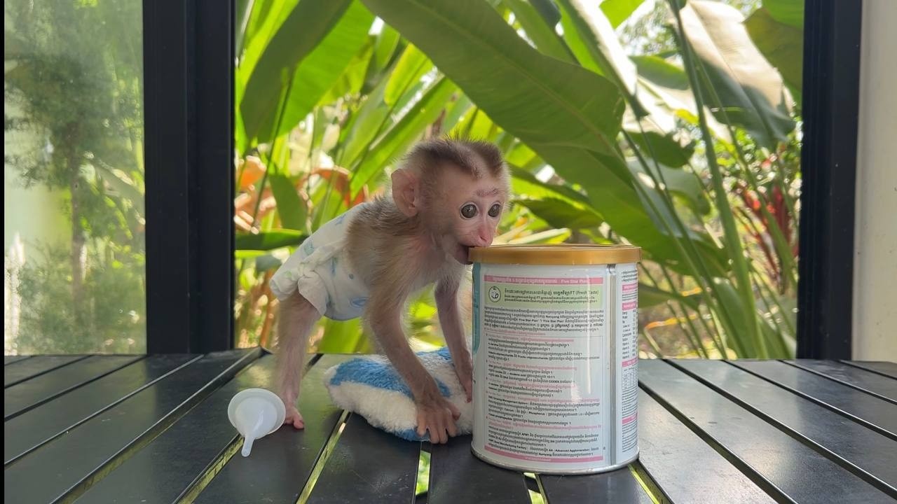 open the..........................🥛🥛