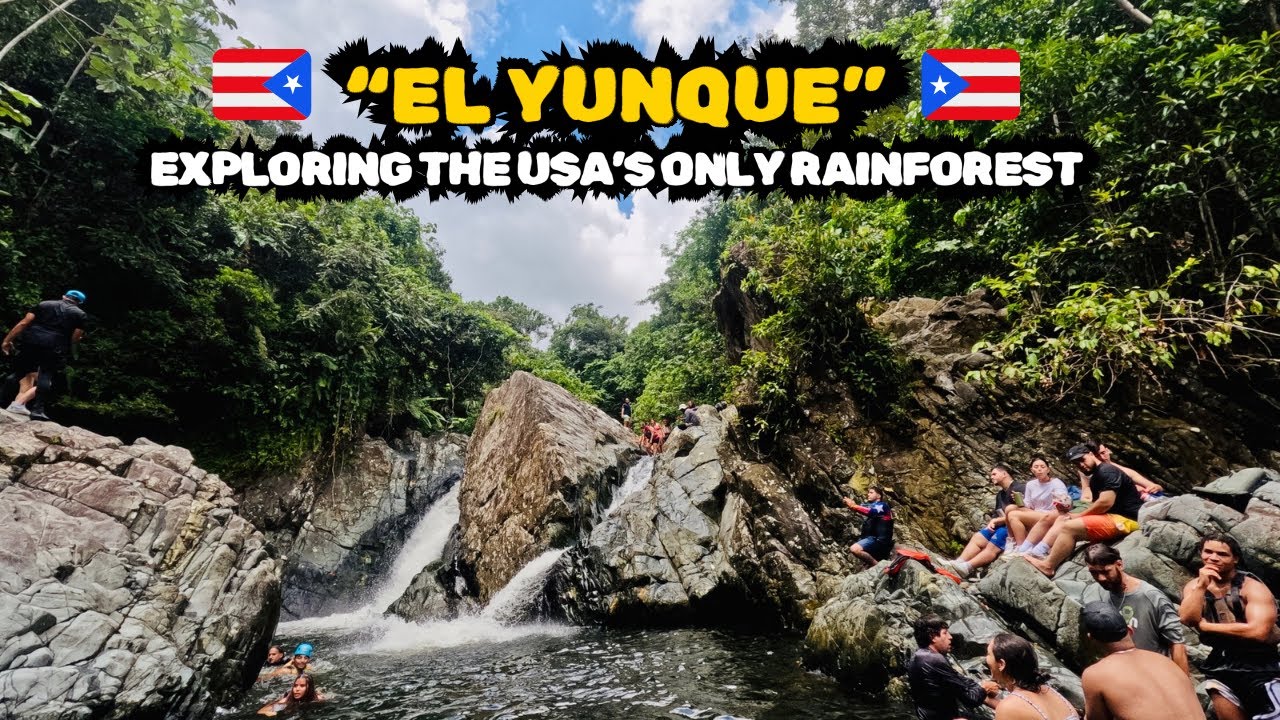 Epic El Yunque Rainforest Hike: Unforgettable Adventure in Puerto Rico 🌿 | #explore