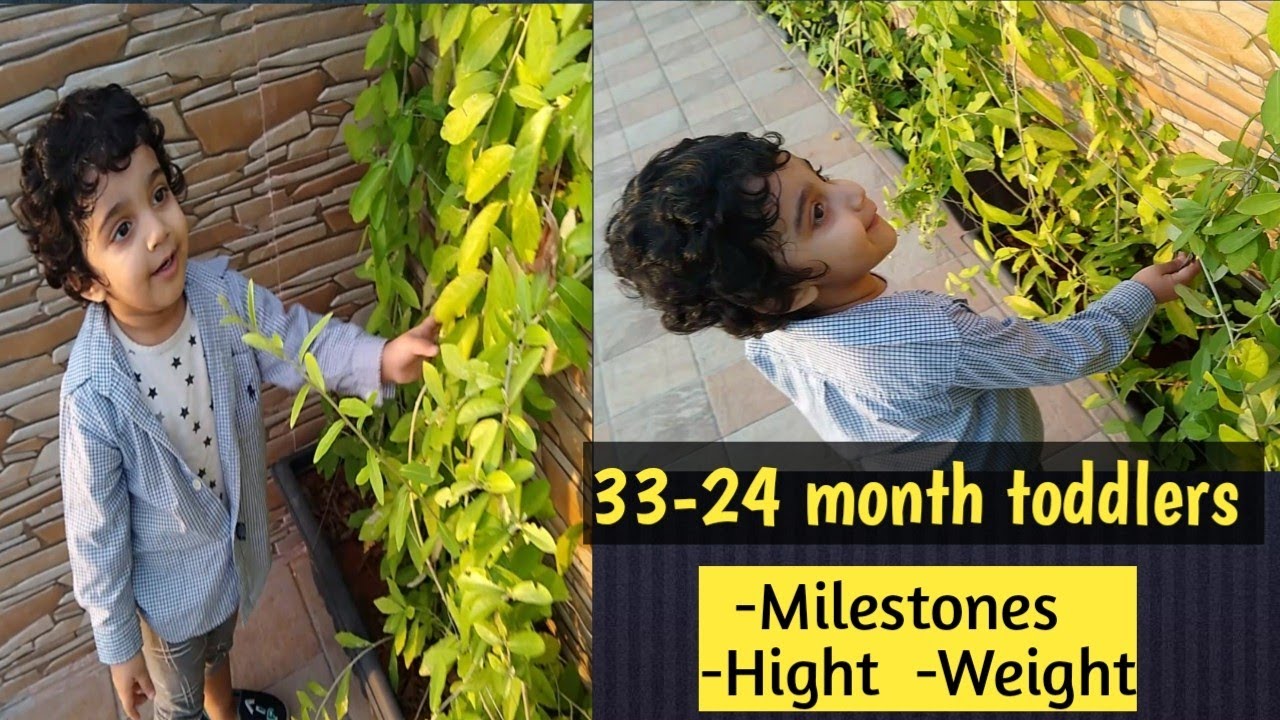 33-34 month old toddlers activities|| 2.6+months old toddler milestones, growth and development