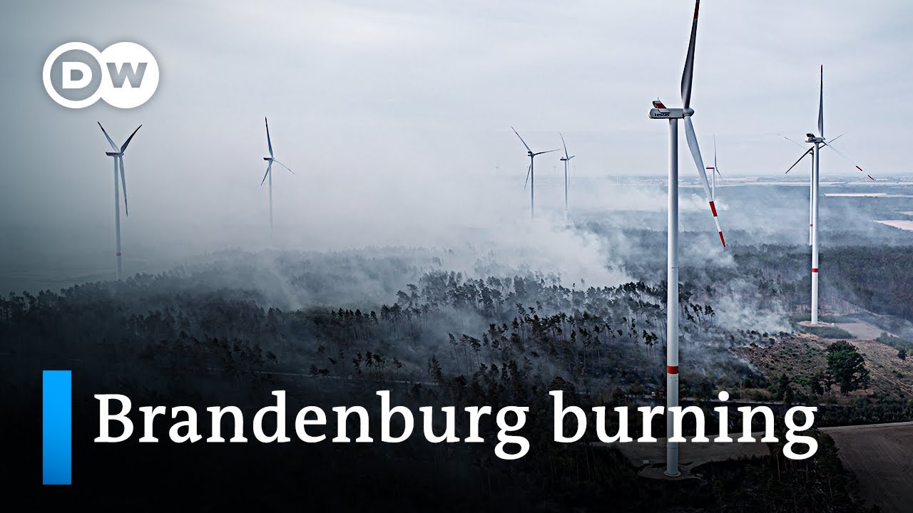 Forest fires spread across Germany: 2022 set to break Germany's wildfire record | DW News