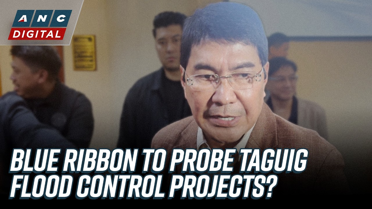 Erwin Tulfo: Blue Ribbon may probe Taguig flood control projects raised by Lacson | ANC