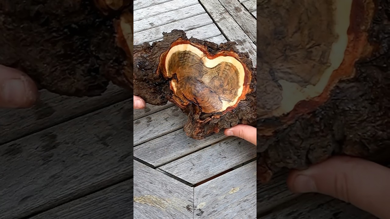 Beautiful BURL BOWL?!-  Woodturning