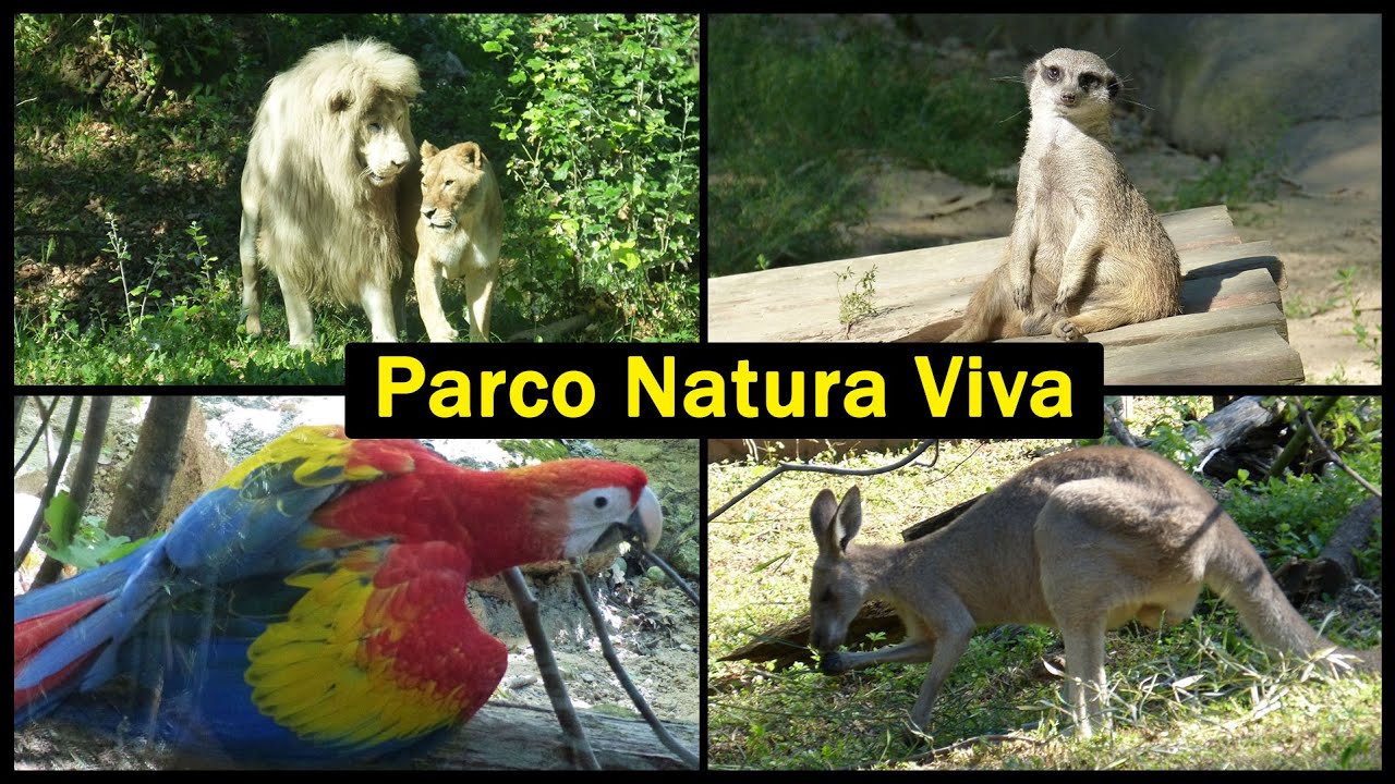 Parco Natura Viva